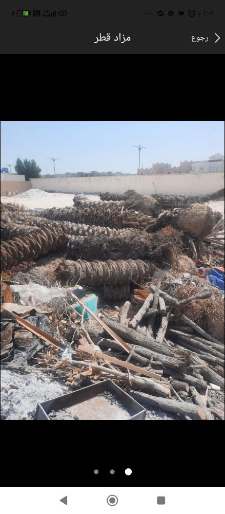 نخيل خدمات - 4