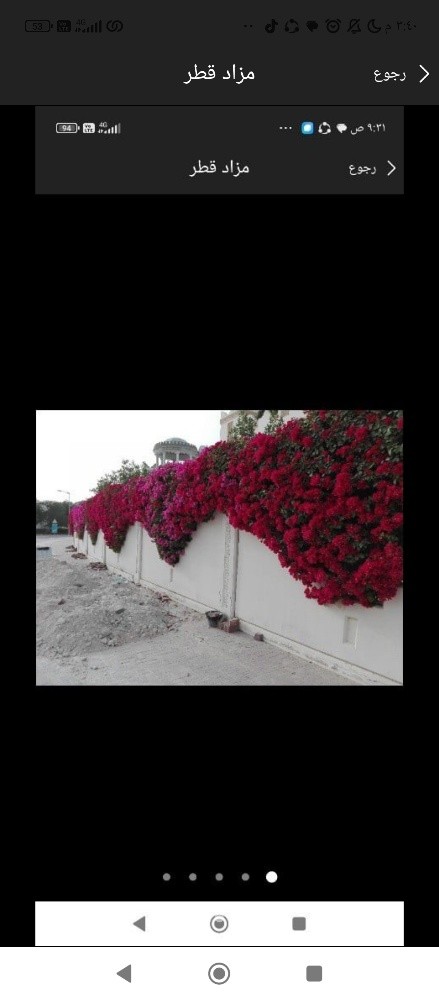 نخيل خدمات - 7