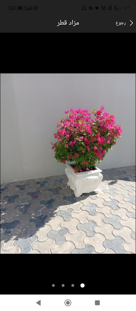 نخيل خدمات - 11