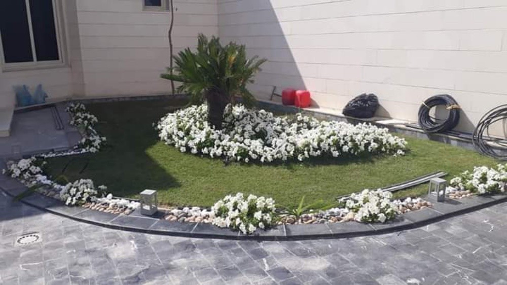 زراعه وديكور الحدائق - 22