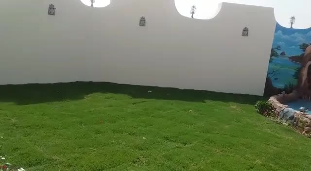 جلسات نوفير شلالات - 1