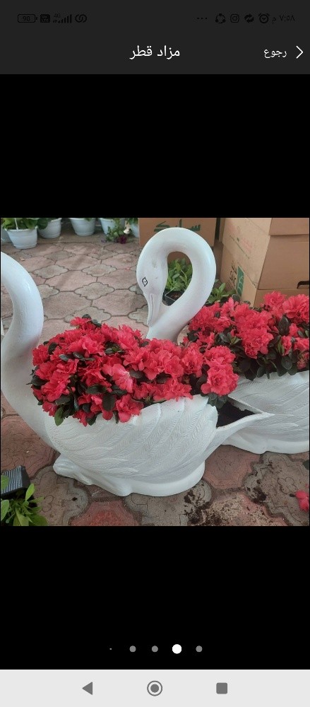 احواض زراعه - 3