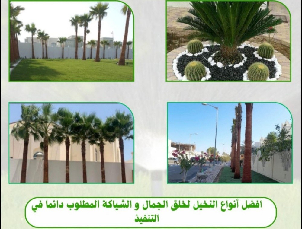 تنسيق وترتيب زراعه الحدائق - 2
