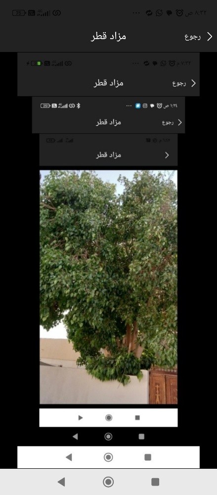 اقوم بعمل قطع الاشجار - 1