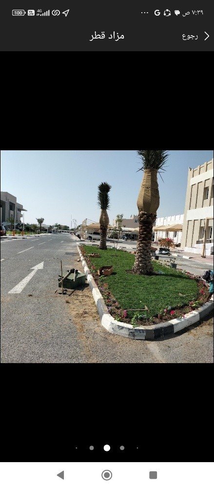 نخيل خدمات - 1