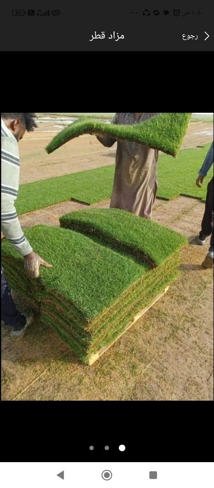 يوجد لدينا عشب - 1