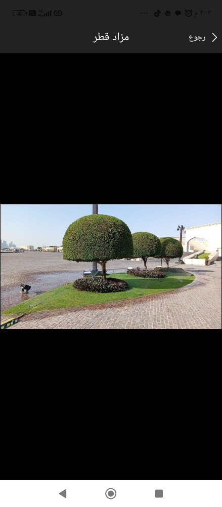 العنايه بالحدائق والعشب - 5