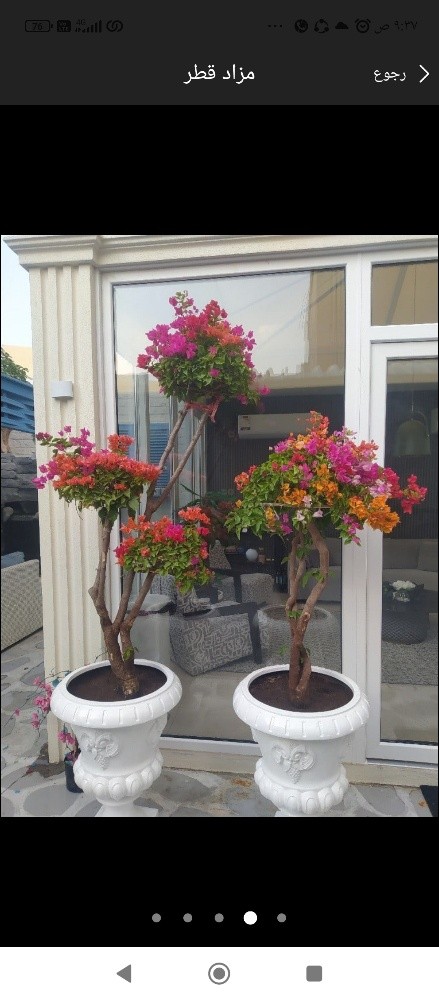 مهندس زراعه - 1