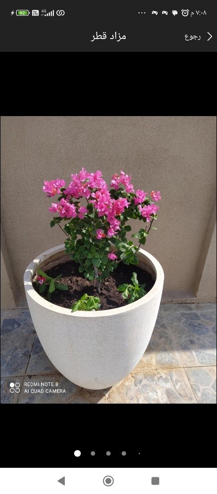 مهندس زراعه - 3