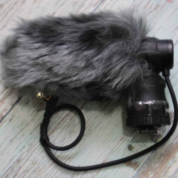 Canon DM-E100 DSLR Stereo Microph - 2