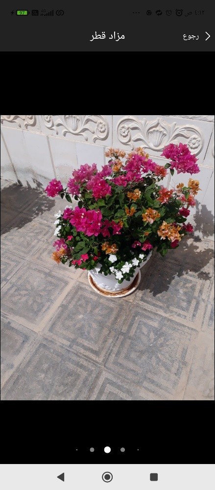 مهندس زراعه - 8