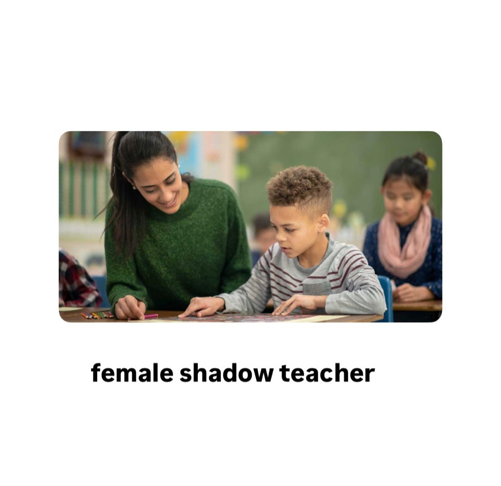 shadow teacher - 1