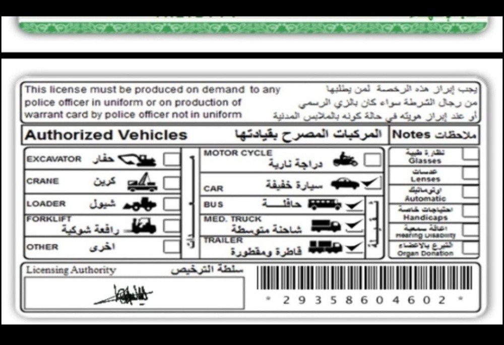 ابحث عن وظيفه - 3