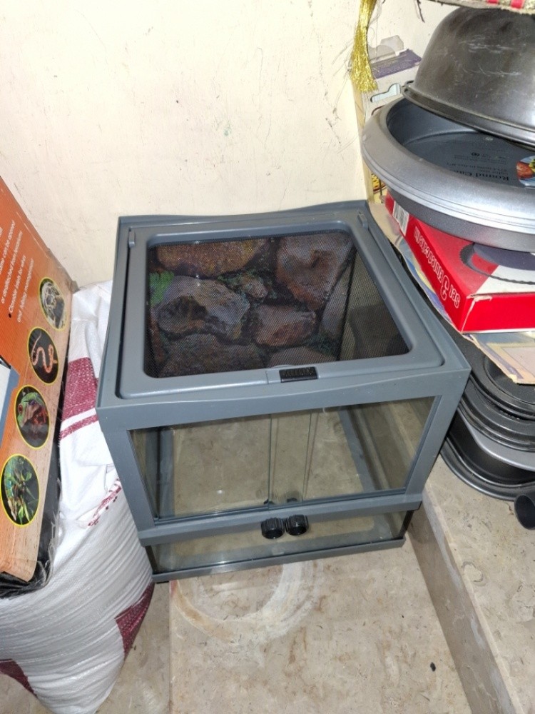 New  Terrarium  tank - 1