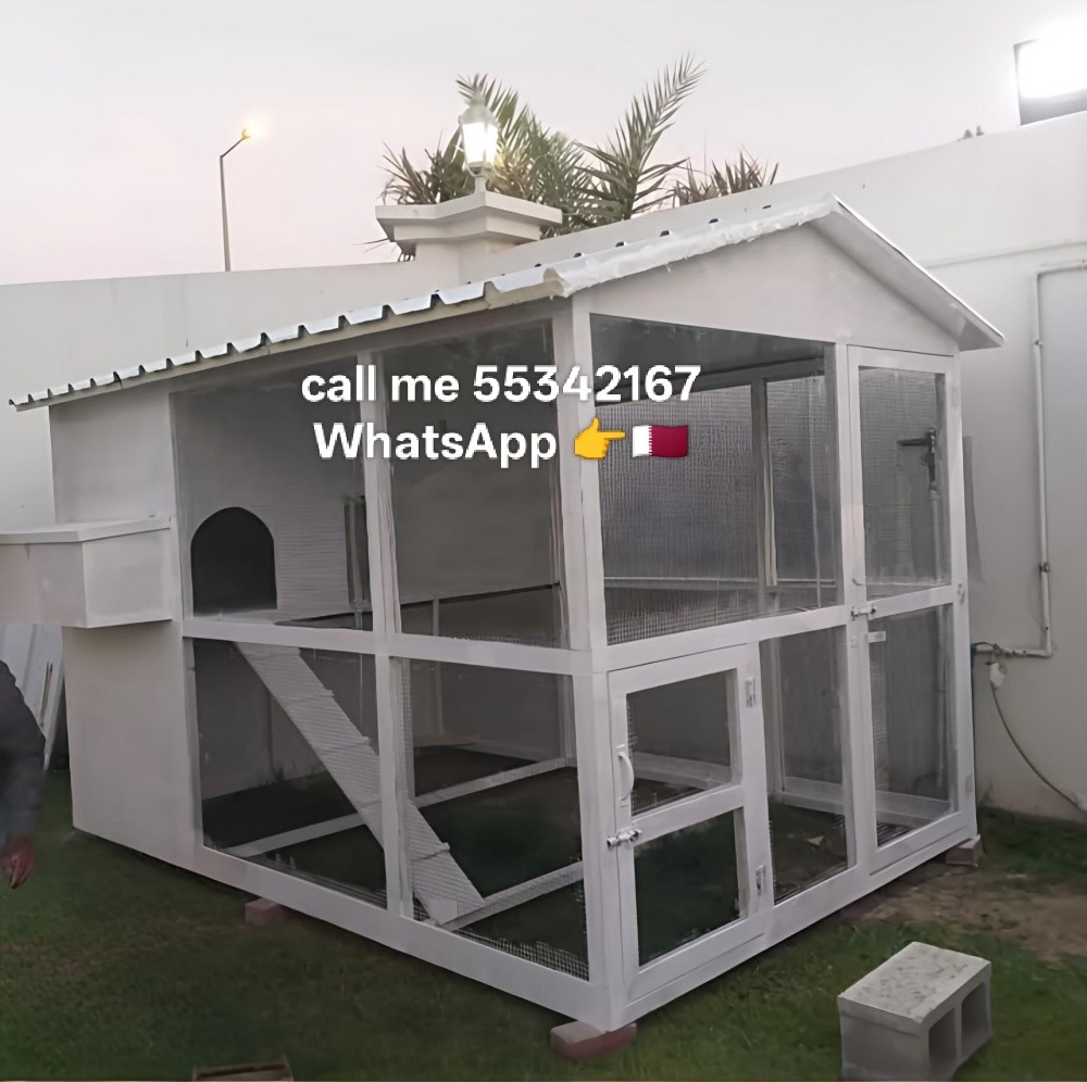 call me 55342167 WhatsApp, - 29