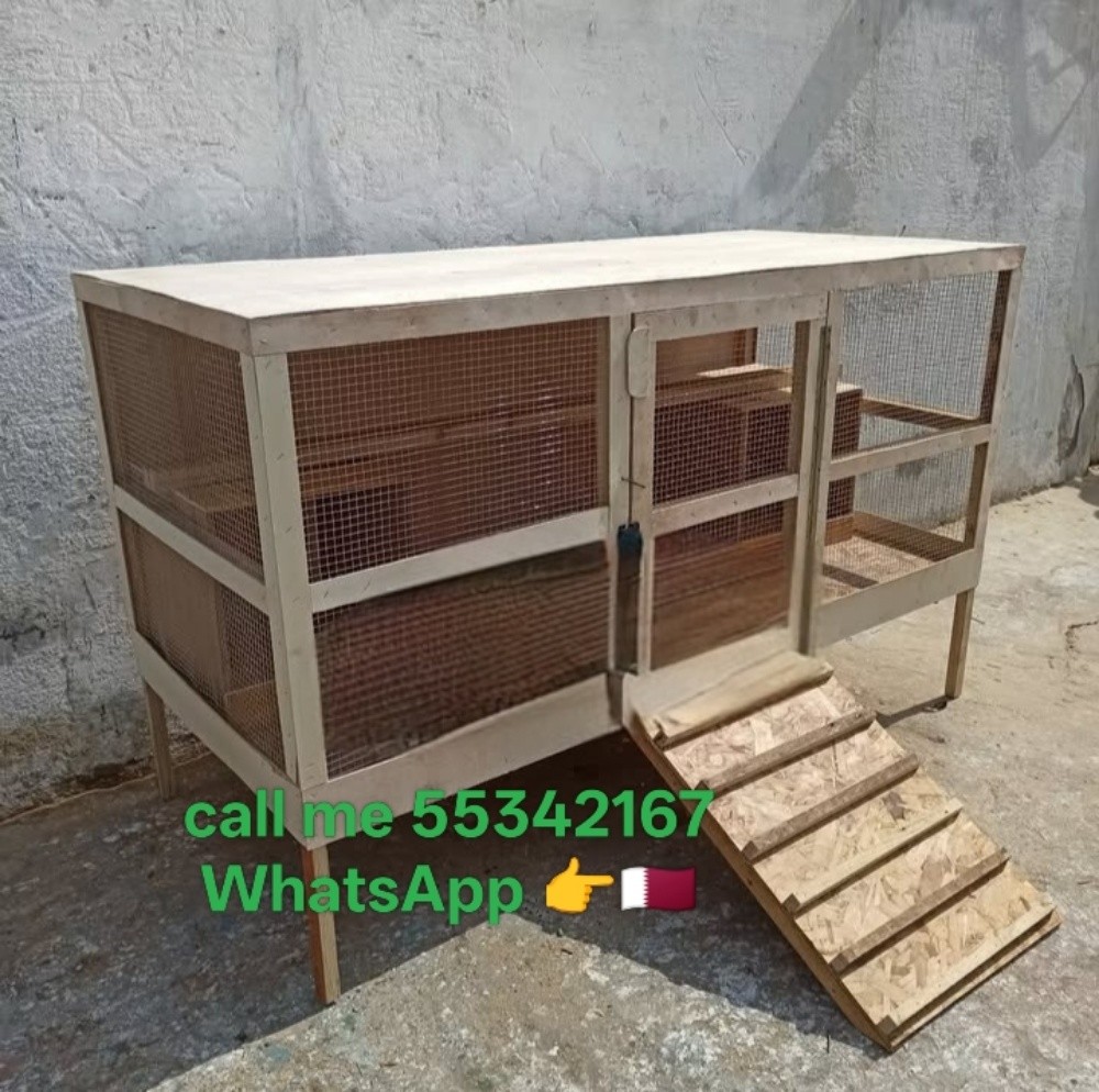 call me 55342167 WhatsApp, - 28