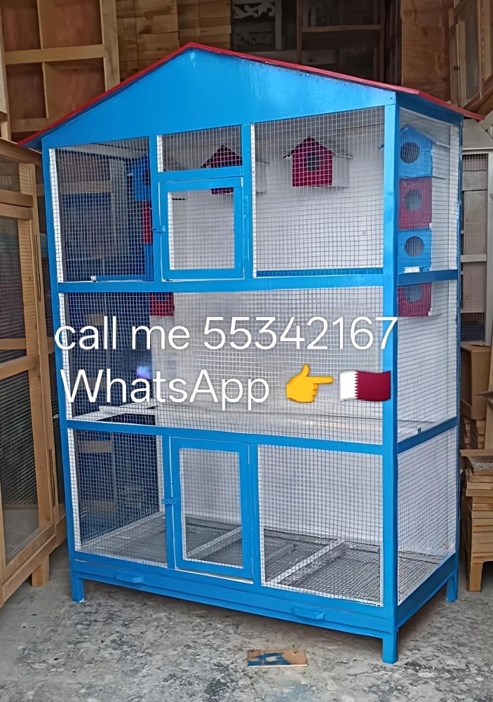call me 55342167 WhatsApp, - 25