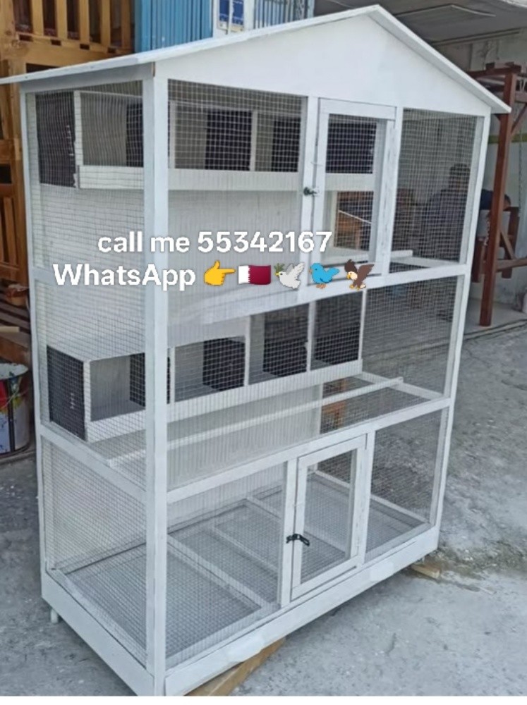 call me 55342167 WhatsApp, - 26