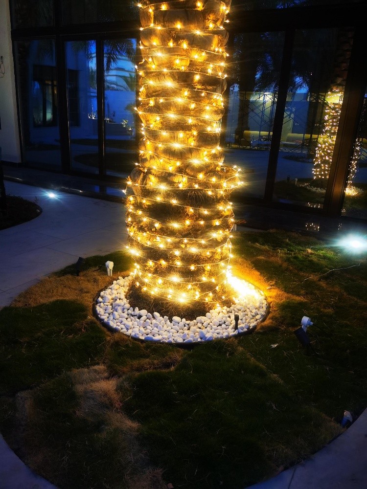 Lighting - 10