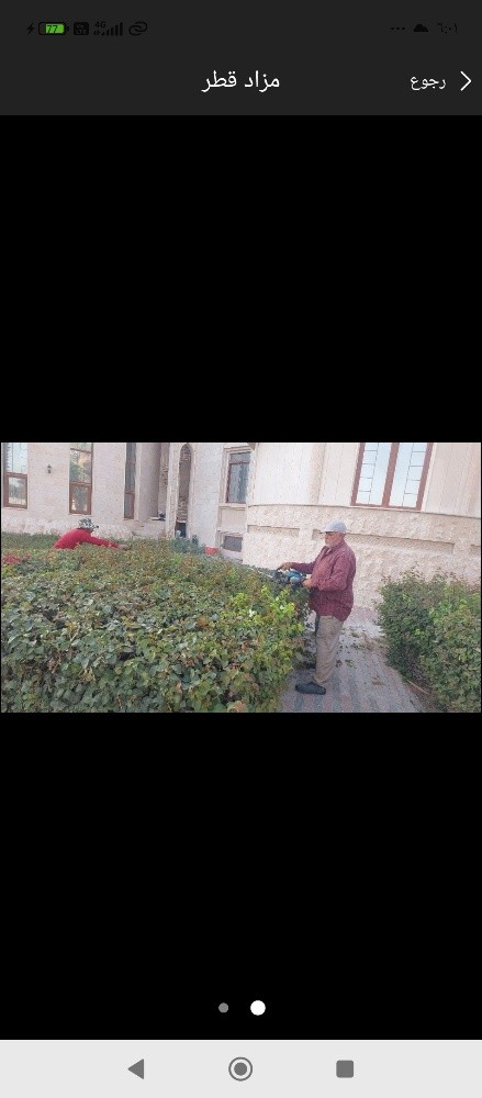 نقوم بعمل قص الاشجار - 2