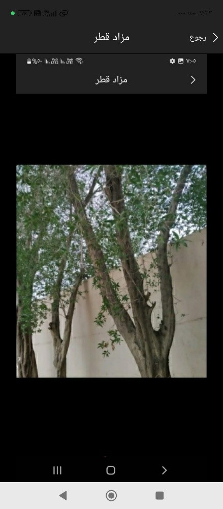 مزارع ومقاطع اشجار - 1