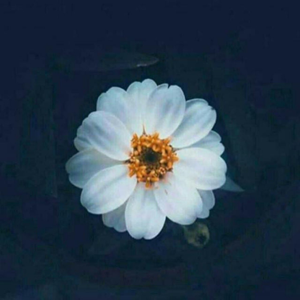ابحث عن وظيفة - 1