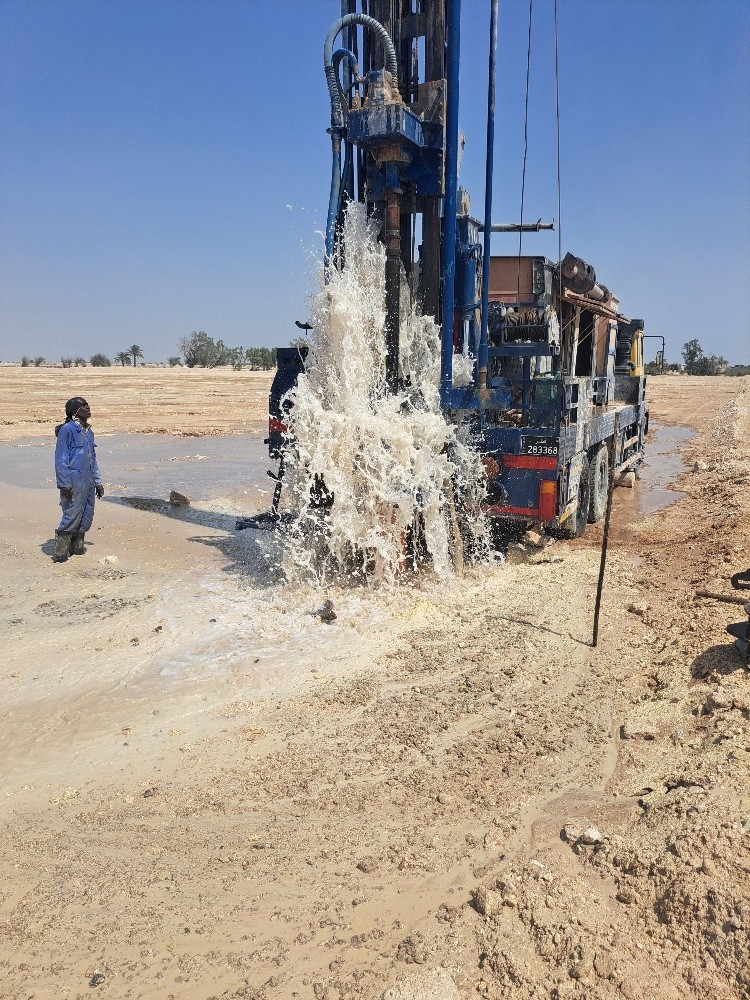 تنسيق الحدايق - 3
