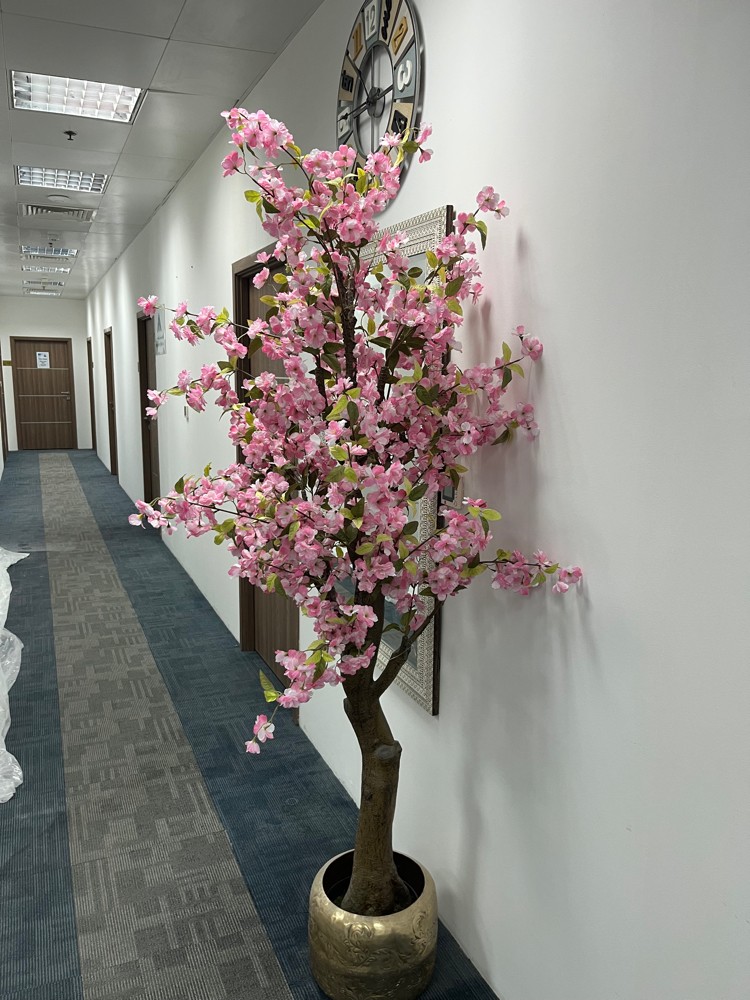 مكتب 2300ريال - 5