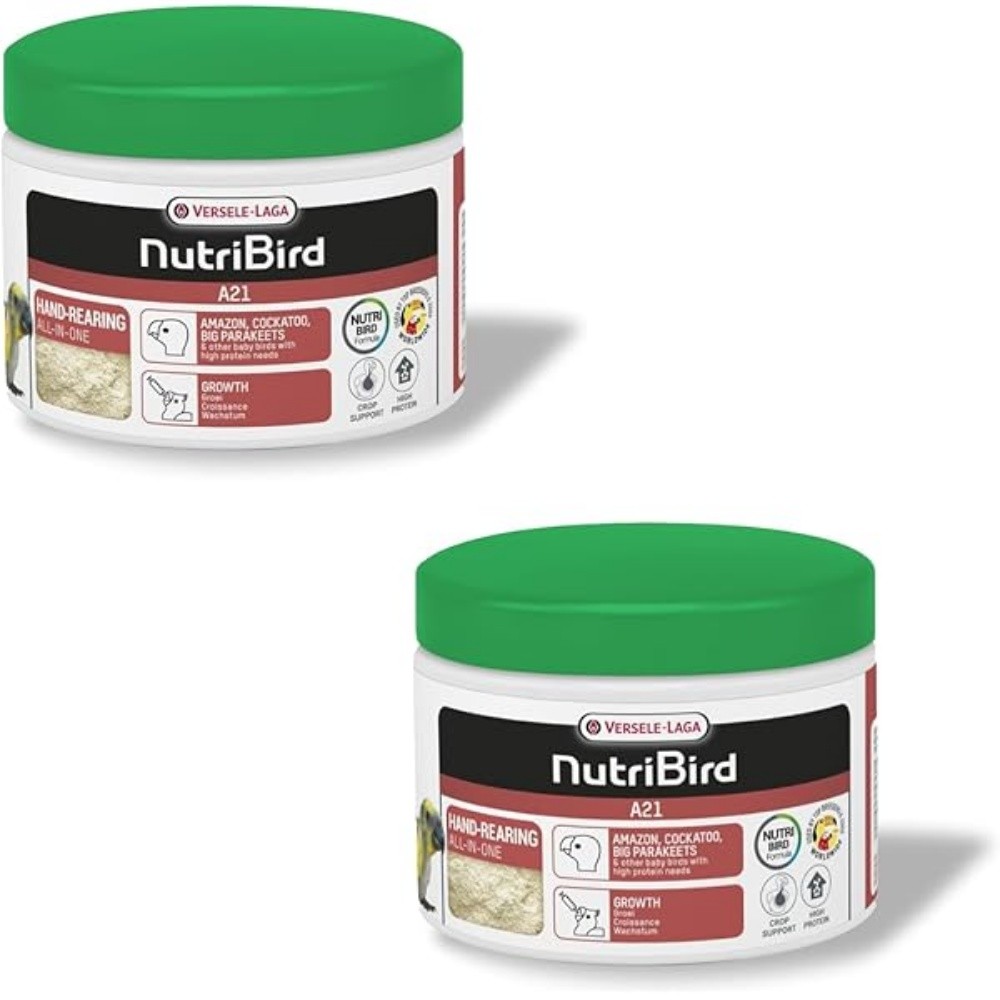 Birds hand feed A21 - 3