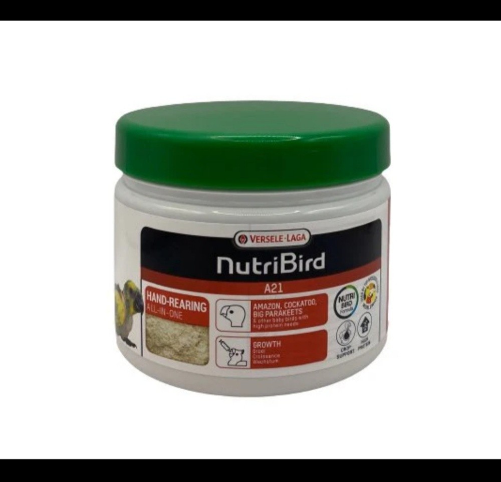 Birds hand feed A21 - 1