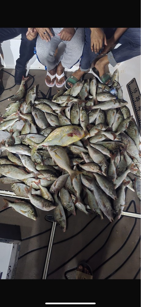 Fishing Trips - 5