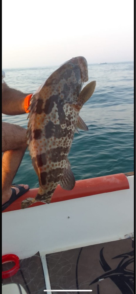 Fishing Trips - 6