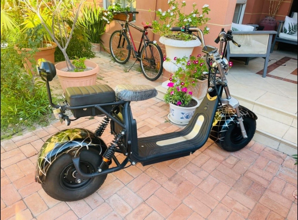Electric Harley - 1