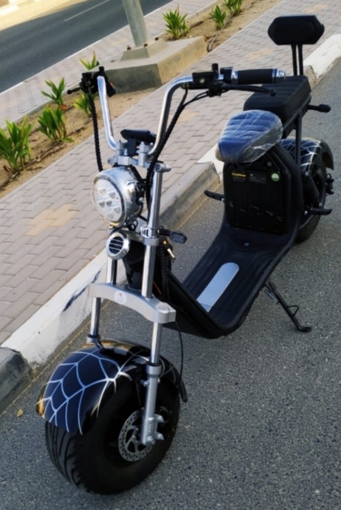 Electric Harley - 7