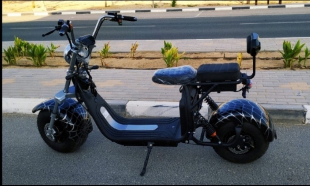 Electric Harley - 6
