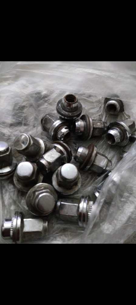 Land Cruiser bolts - 1