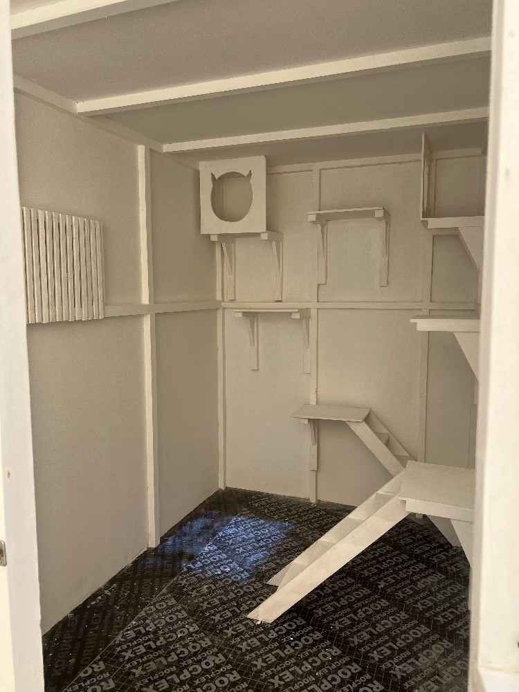 New Cat Cage - 2