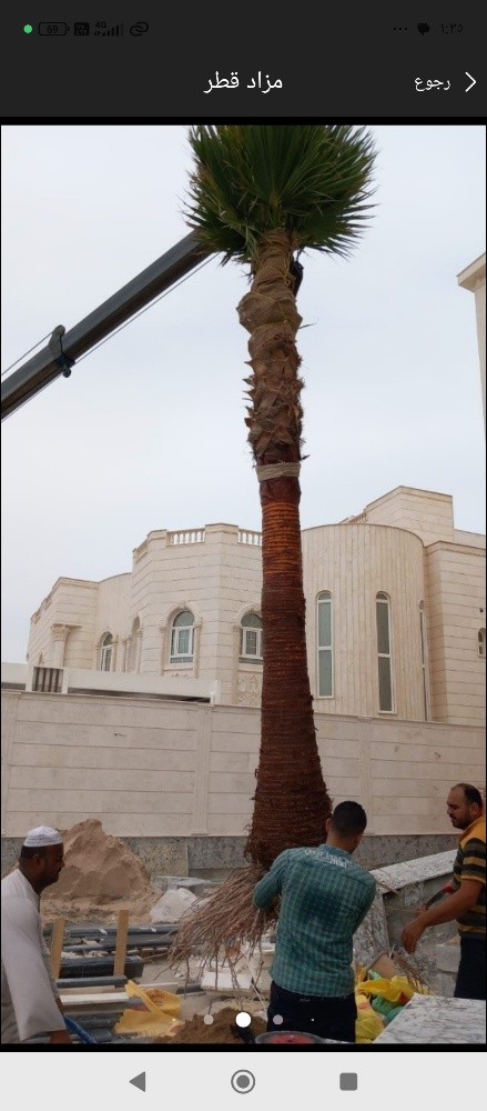 مزارع - 1