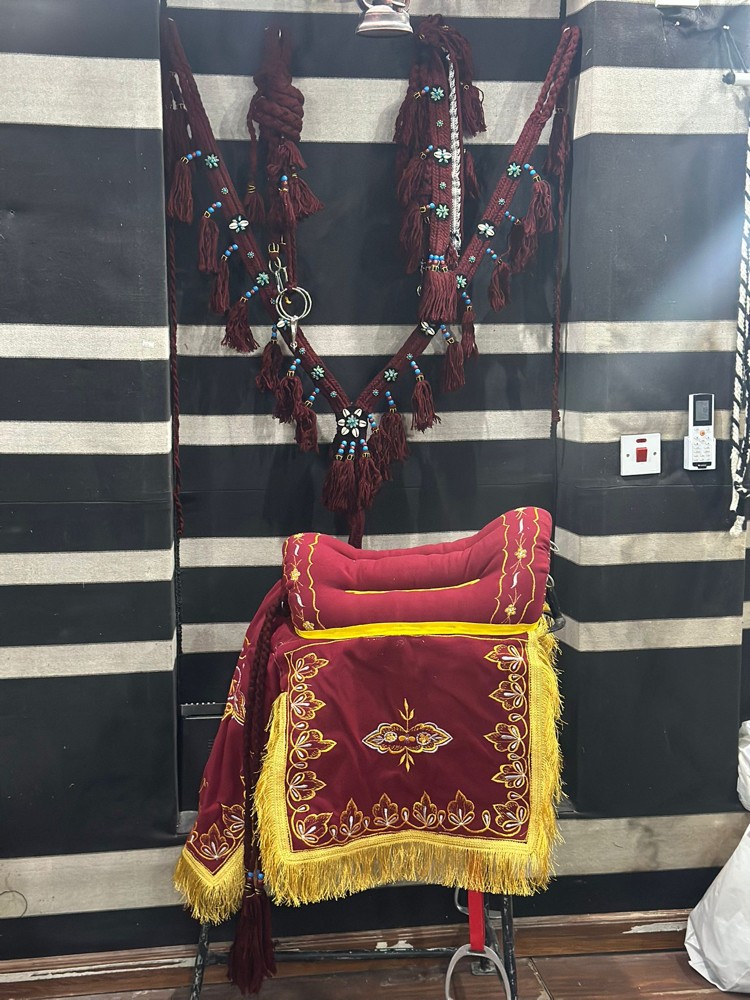 سروج خيل عربيه وسروج مسيله خفيفه - 1