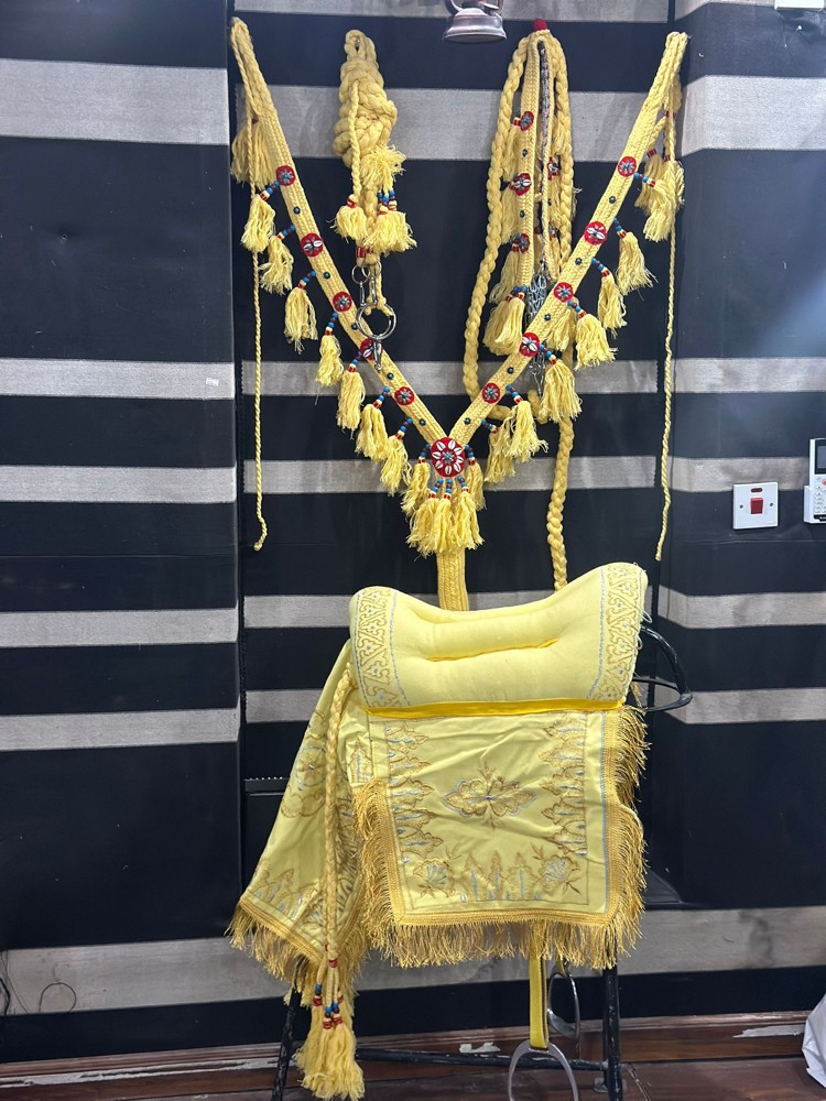 سروج خيل عربيه وسروج مسيله خفيفه - 4