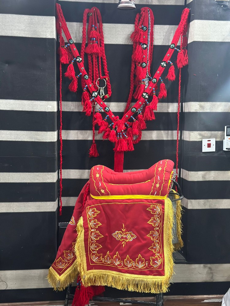 سروج خيل عربيه وسروج مسيله خفيفه - 5