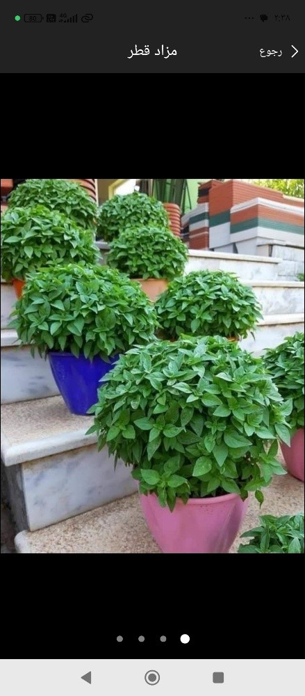 مظلات وسواتر اعمال الحداده - 5