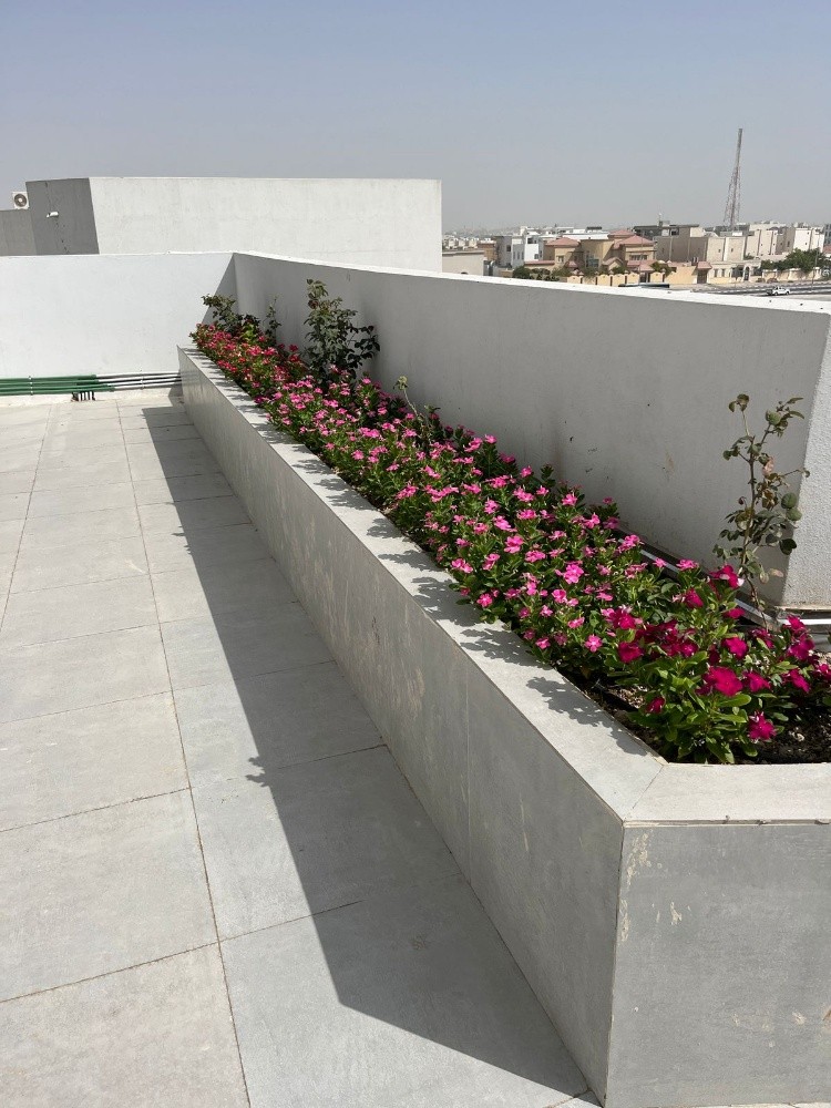 زراعه الحدائق - 4