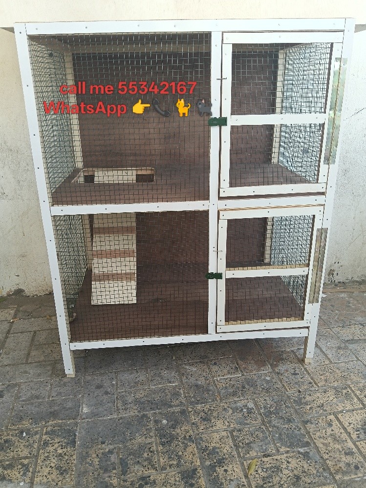 call me 55342167 WhatsApp - 20