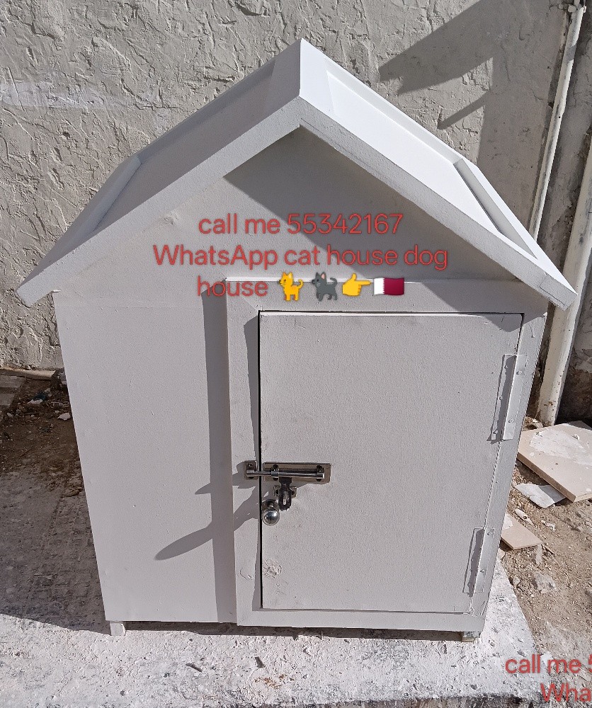 call me 55342167 WhatsApp - 15