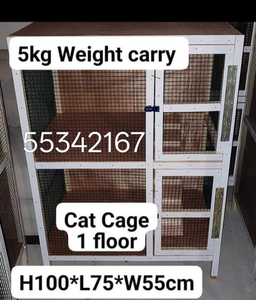 call me 55342167 WhatsApp - 17