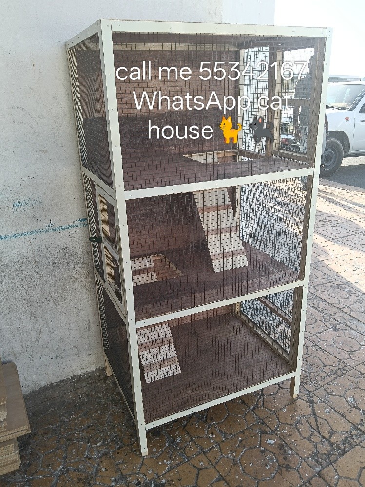 call me 55342167 WhatsApp - 18