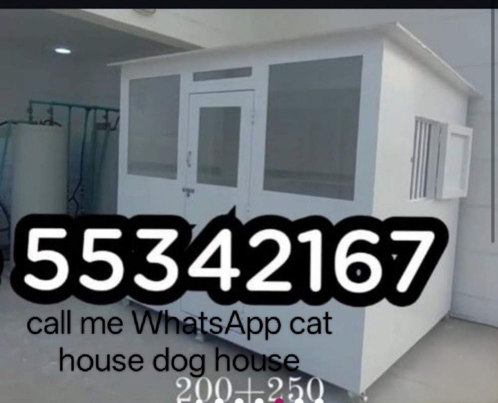 call me 55342167 WhatsApp - 14