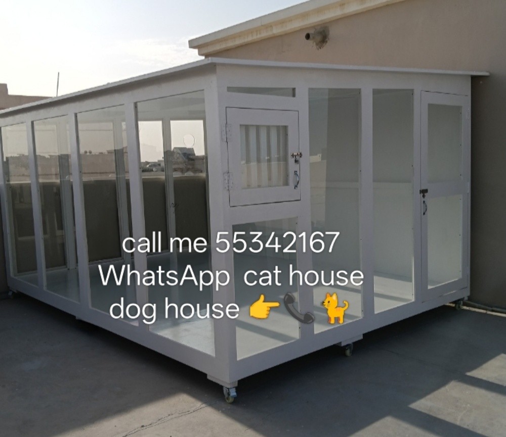 call me 55342167 WhatsApp - 1