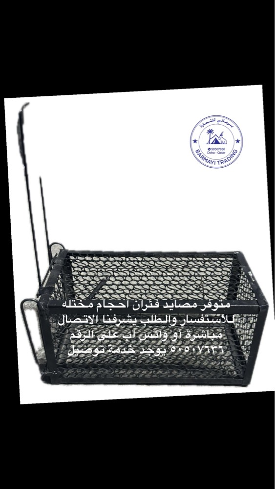 Mouse traps available. - 3